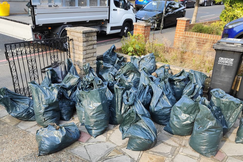 Garden clear out